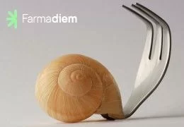 Cómo mejorar tu digestión: Consejos para combatir las digestiones lentas